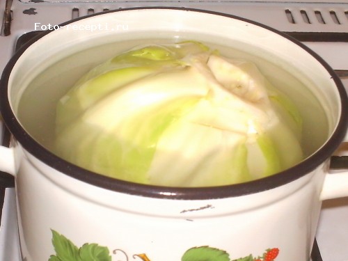 маринов_голубцы2.JPG