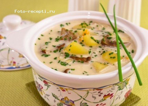 сырный суп с белыми грибами.jpg